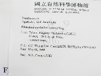 登錄號:F0010787藏品圖，第2張