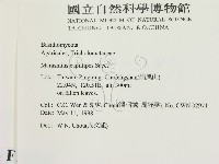 登錄號:F0010789藏品圖，第2張