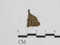 登錄號:F0010789藏品圖，第1張