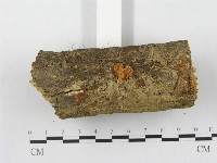 登錄號:F0010790藏品圖，第3張