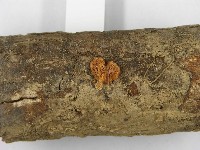 登錄號:F0010790藏品圖，第4張