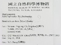 登錄號:F0010791藏品圖，第2張