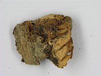 登錄號:F0010791藏品圖，第3張