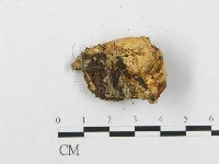 登錄號:F0010791藏品圖，第4張