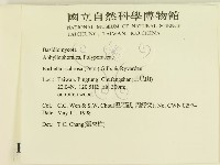 登錄號:F0010792藏品圖，第2張