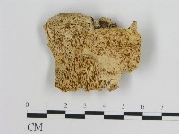 登錄號:F0010792藏品圖，第1張