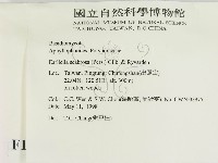 登錄號:F0010793藏品圖，第2張
