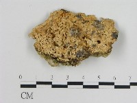 登錄號:F0010793藏品圖，第1張