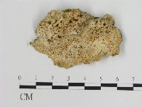 登錄號:F0010793藏品圖，第3張