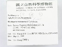 登錄號:F0010795藏品圖，第2張