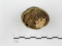 登錄號:F0010795藏品圖，第1張