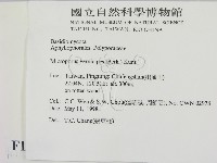 登錄號:F0010796藏品圖，第2張