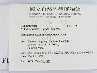 登錄號:F0010798藏品圖，第2張