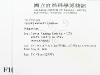 多孔菌屬藏品圖，第2張