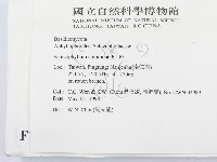 裂褶菌藏品圖，第2張