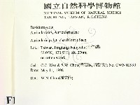 毛木耳藏品圖，第2張