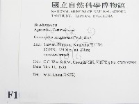 登錄號:F0010804藏品圖，第2張