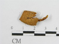 登錄號:F0010804藏品圖，第3張