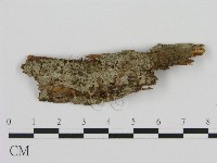 登錄號:F0010805藏品圖，第1張