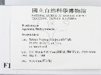 登錄號:F0010807藏品圖，第2張