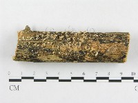 登錄號:F0010807藏品圖，第3張