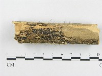 登錄號:F0010807藏品圖，第4張