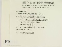 登錄號:F0010810藏品圖，第2張