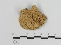 登錄號:F0010810藏品圖，第1張