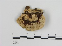 登錄號:F0010810藏品圖，第3張