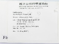 登錄號:F0010812藏品圖，第2張