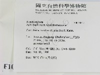 登錄號:F0010815藏品圖，第2張