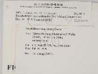 登錄號:F0010816藏品圖，第2張