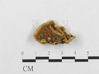 登錄號:F0010816藏品圖，第3張