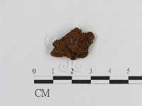 登錄號:F0010817藏品圖，第1張