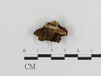 登錄號:F0010817藏品圖，第3張