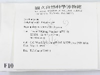 登錄號:F0010824藏品圖，第2張