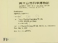 登錄號:F0010827藏品圖，第2張