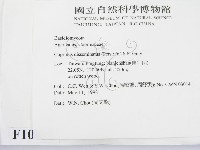 登錄號:F0010831藏品圖，第2張