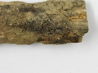 登錄號:F0010831藏品圖，第3張