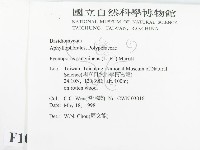 血紅密孔菌藏品圖，第2張