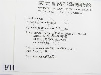 登錄號:F0010834藏品圖，第2張