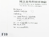 登錄號:F0010836藏品圖，第2張