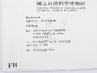 登錄號:F0010838藏品圖，第2張