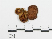 登錄號:F0010838藏品圖，第1張