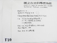登錄號:F0010839藏品圖，第2張