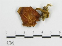 登錄號:F0010839藏品圖，第1張