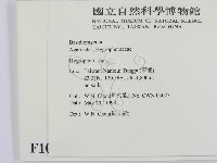 登錄號:F0010841藏品圖，第2張
