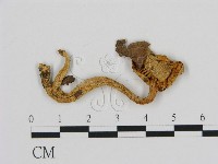 登錄號:F0010841藏品圖，第1張