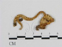 登錄號:F0010841藏品圖，第3張