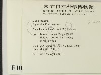 登錄號:F0010842藏品圖，第2張